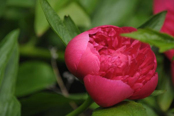 bestand 20120513_102546-bc2116.jpg