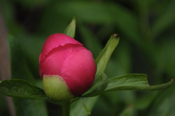 bestand 20120513_102720-bc2119.jpg