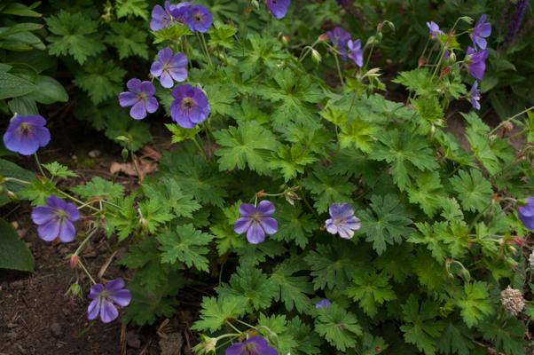 bestand 20200610-202555.JPG