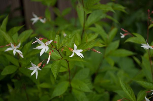 bestand 20200610-202606.JPG