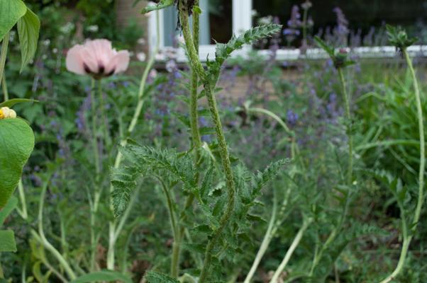 bestand 20200610-202947.JPG