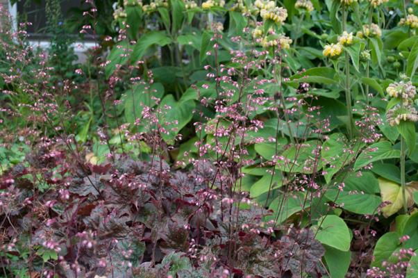 bestand 20200610-203021.JPG