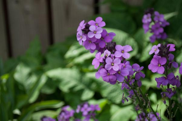 bestand 20200611-145900.JPG