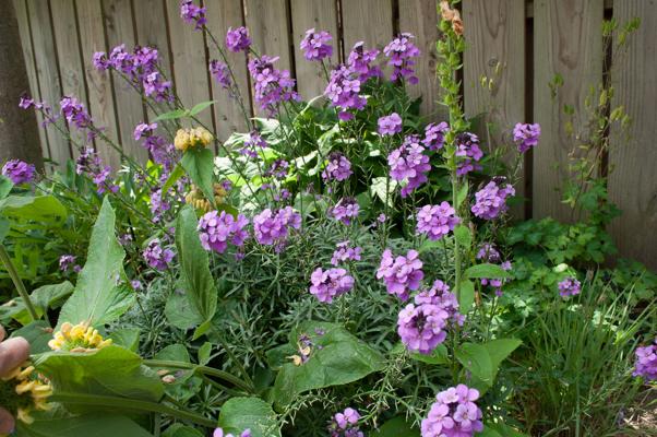 bestand 20200611-145936.JPG