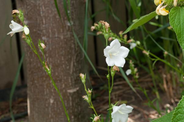 bestand 20200611-145947.JPG