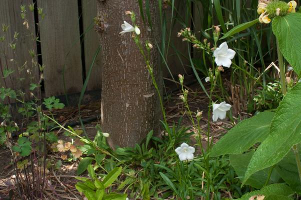 bestand 20200611-145958.JPG