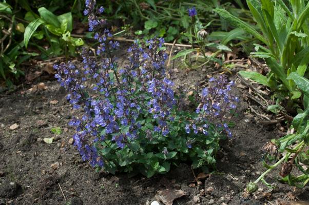 bestand 20200611-150032.JPG