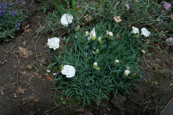 bestand 20200611-150100.JPG