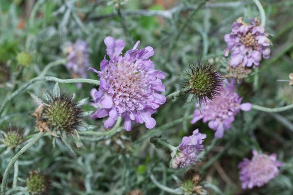 bestand 20200611-150110.JPG