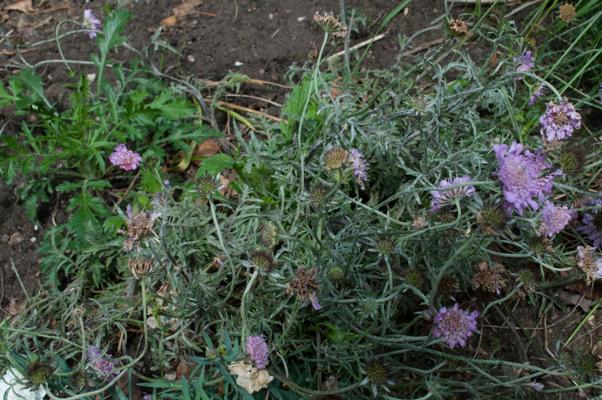 bestand 20200611-150113.JPG