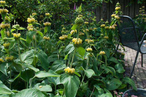 bestand 20200611-150155.JPG