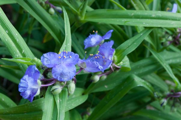 bestand 20200611-150350.JPG