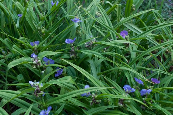 bestand 20200611-150354.JPG