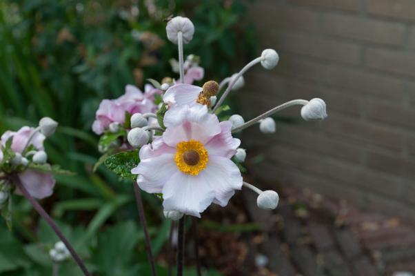 bestand 20200611-150505.JPG