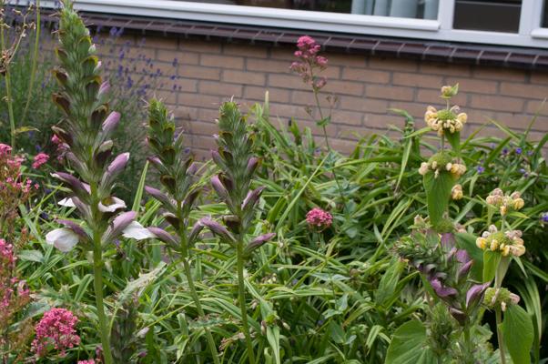 bestand 20200612-161901.JPG