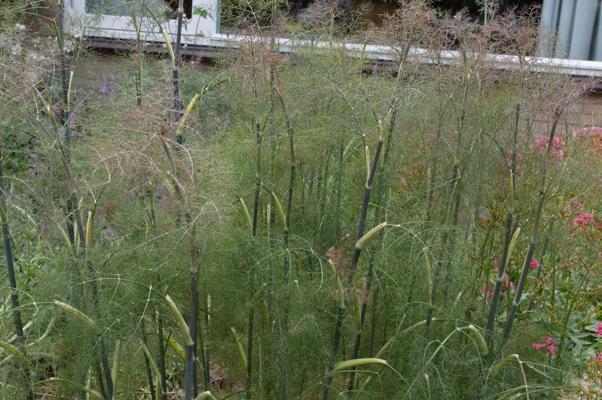 bestand 20200612-161911.JPG