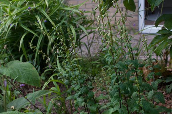 bestand 20200612-161952.JPG