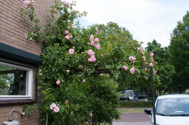 bestand 20200612-162045.JPG