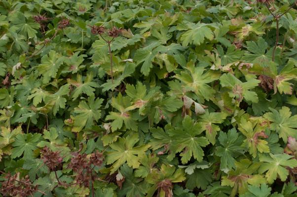 bestand 20200612-162112.JPG