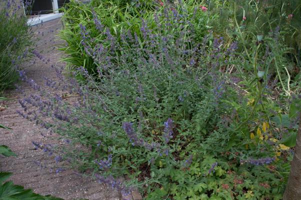 bestand 20200612-162118.JPG