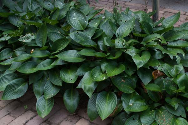 bestand 20200612-162224.JPG