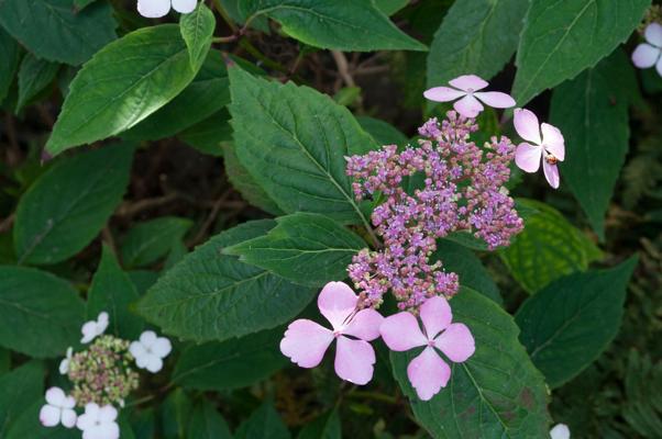 bestand 20200612-162236.JPG