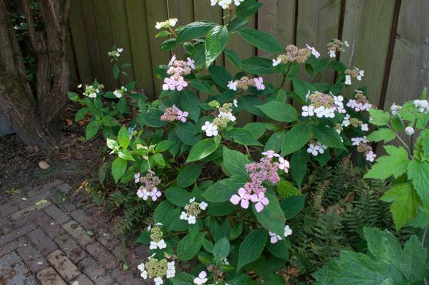 bestand 20200612-162240.JPG