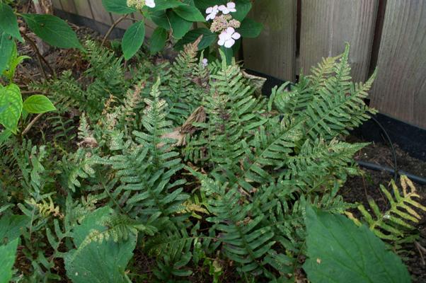 bestand 20200612-162255.JPG