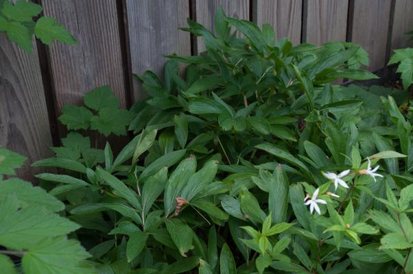 bestand 20200612-162307.JPG