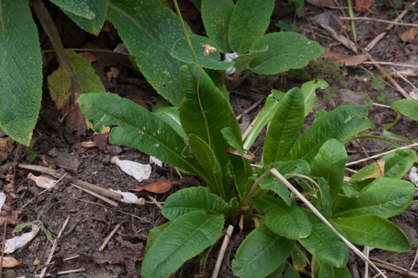 bestand 20200612-162314.JPG