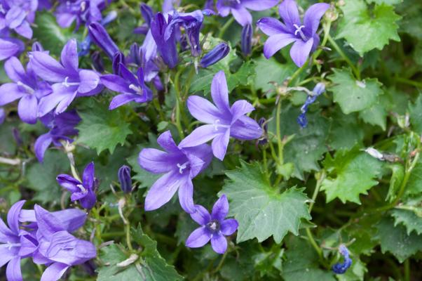 bestand 20200612-162403.JPG