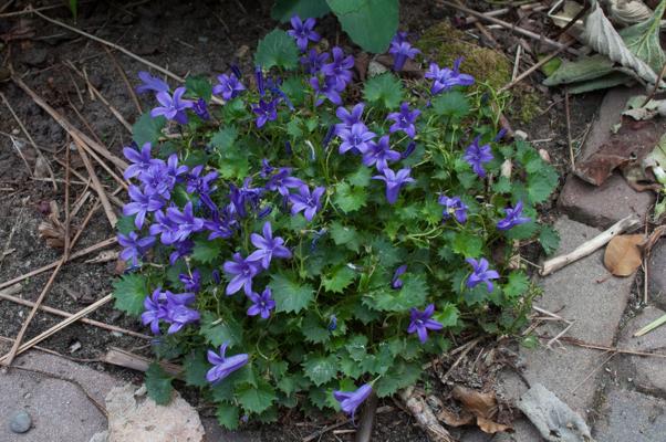 bestand 20200612-162405.JPG