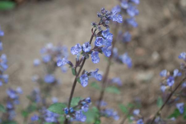 bestand 20200612-162512.JPG