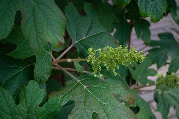 bestand 20200612-162625.JPG