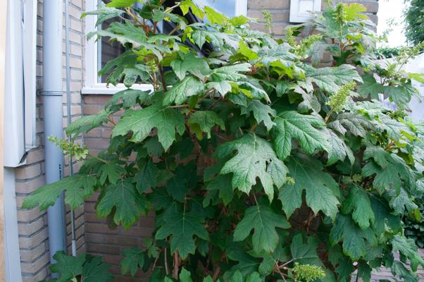 bestand 20200612-162629.JPG