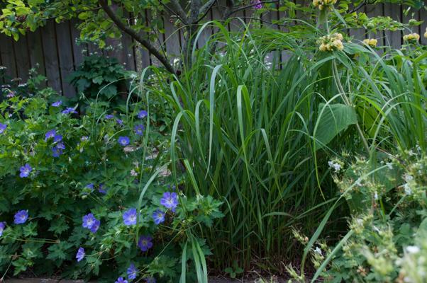 bestand 20200612-162642.JPG