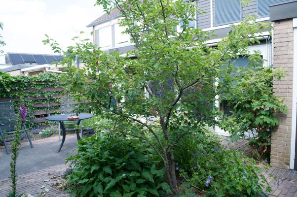 bestand 20200612-162706.JPG