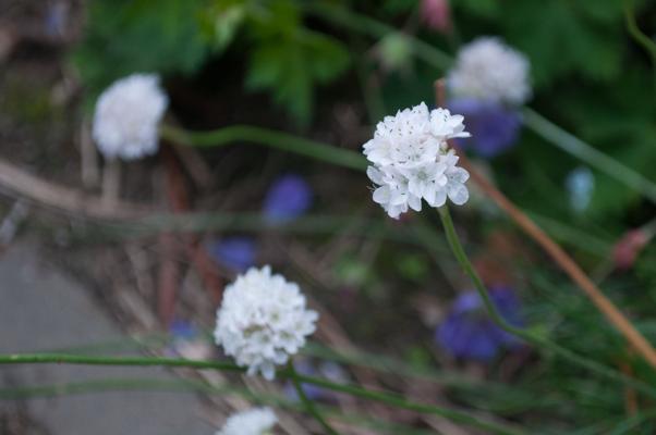 bestand 20200612-162810.JPG