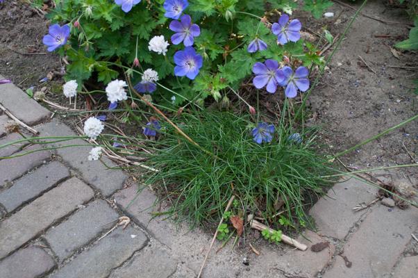 bestand 20200612-162812.JPG