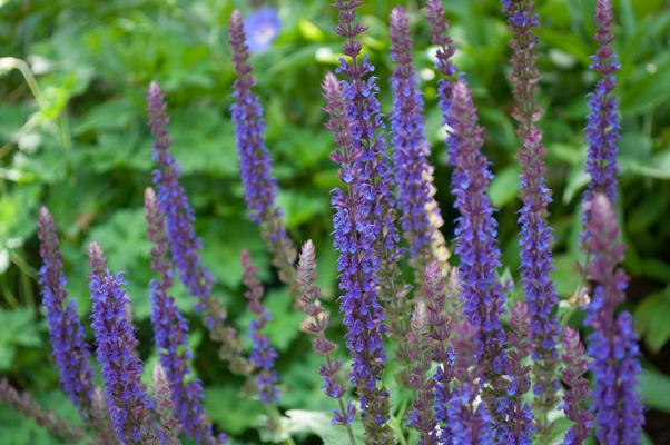 bestand 20200612-162821.JPG