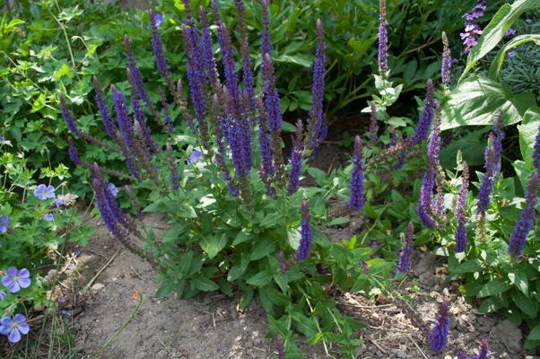 bestand 20200612-162824.JPG