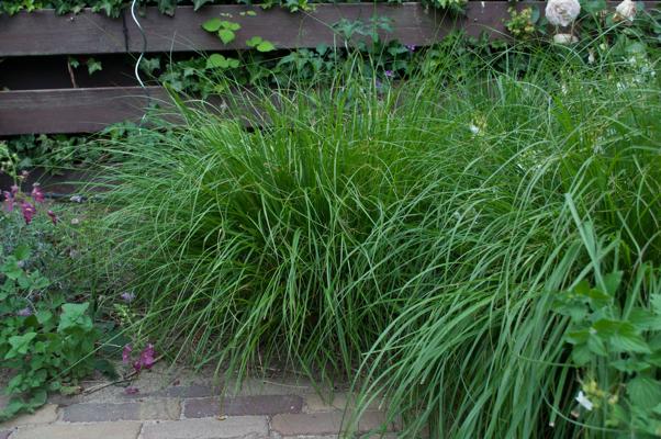 bestand 20200612-175004.JPG