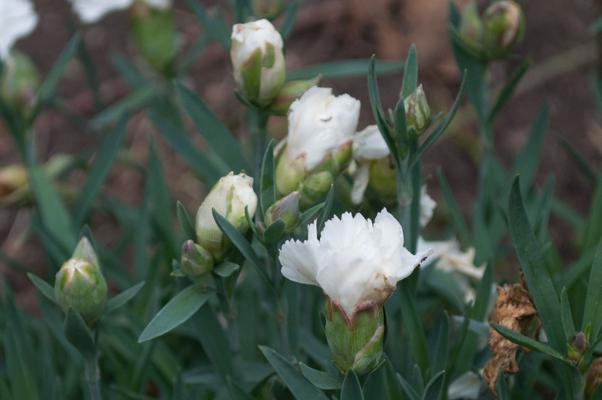 bestand 20200612-175022.JPG