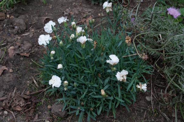 bestand 20200612-175024.JPG