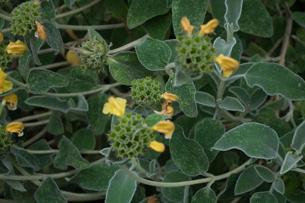 bestand 20200612-175044.JPG