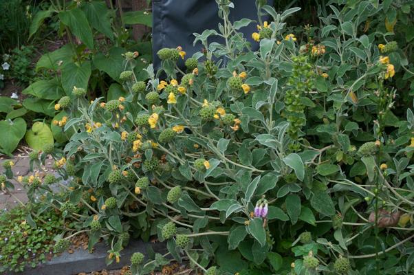 bestand 20200612-175049.JPG