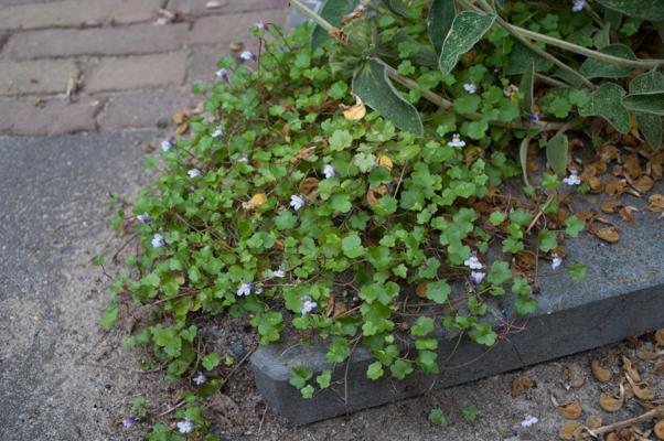 bestand 20200612-175102.JPG