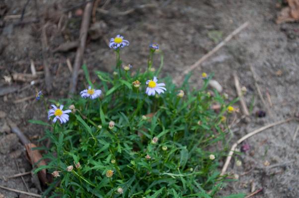 bestand 20200612-175140.JPG