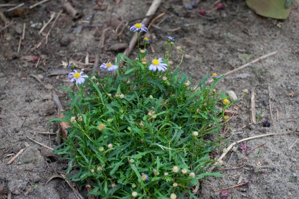 bestand 20200612-175145.JPG