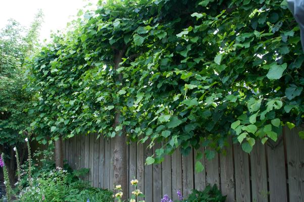 bestand 20200612-175354.JPG